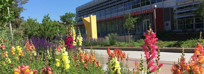 Spring flowers outside Auraria Library