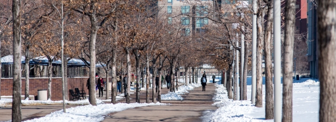 Students walking in winter